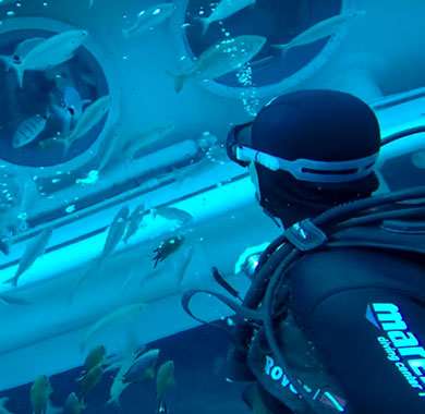 Experience a dive