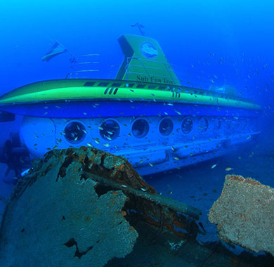 Experience a dive