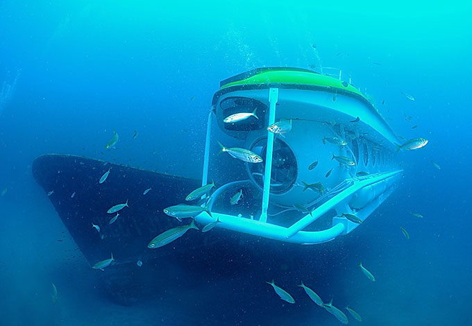 Submarine Safaris